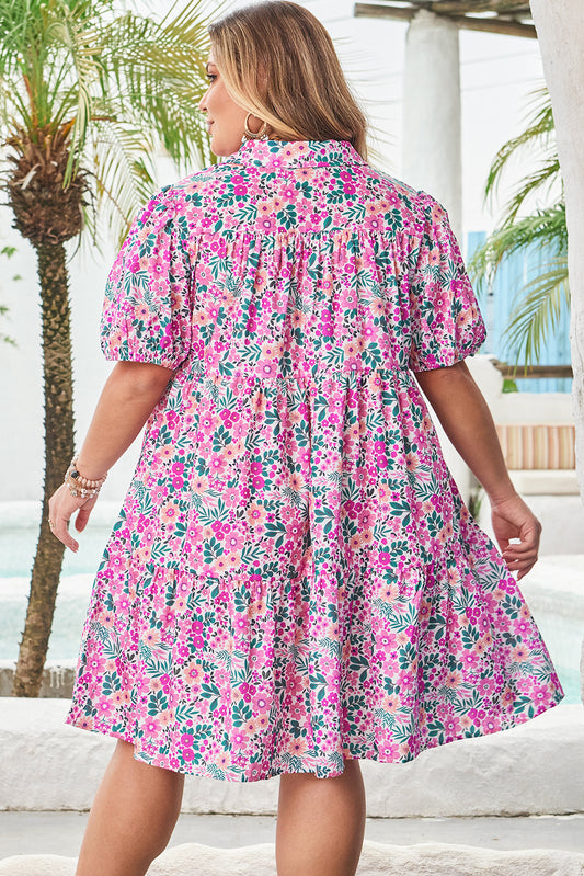 Plus Size A-line Dress